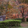 紅葉谷の紅葉