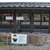 宇治川の鵜飼