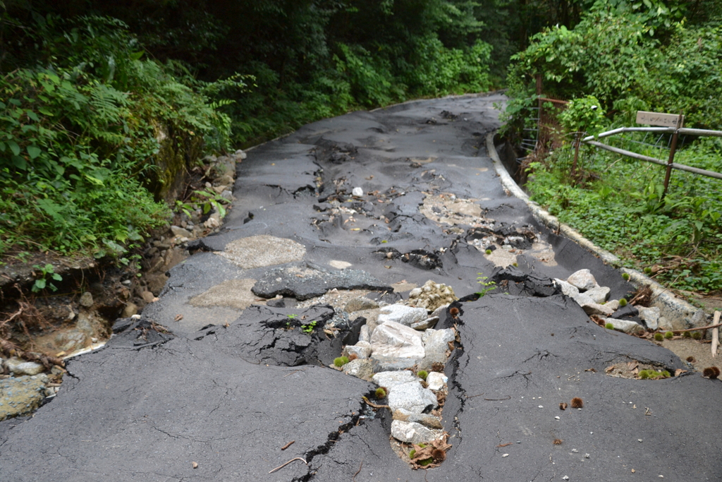 梅雨の傷跡