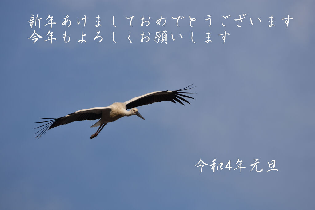 あけましておめでとうございます。
