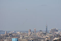 お正月の風景