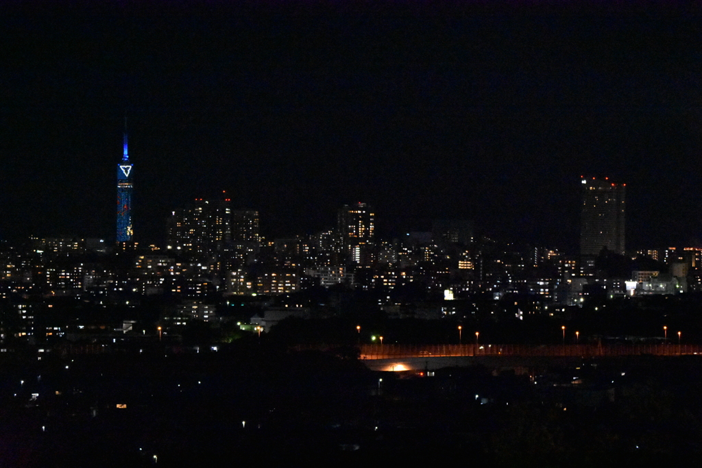 せっかくなので夜景を