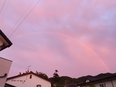 今日の虹