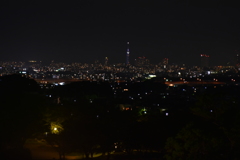公園から見た福岡市夜景
