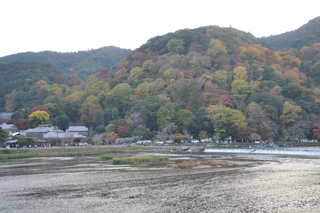 嵐山