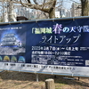 今年もやります！