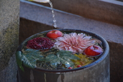 石清水八幡宮　花手水