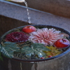 石清水八幡宮　花手水