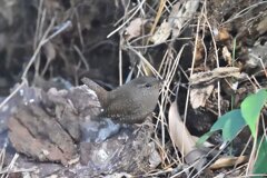 まさか・・・こんなところ出会えるとは(^^)/