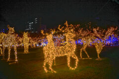 クリスマスアドベント　天神中央公園