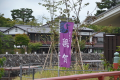 宇治川の鵜飼