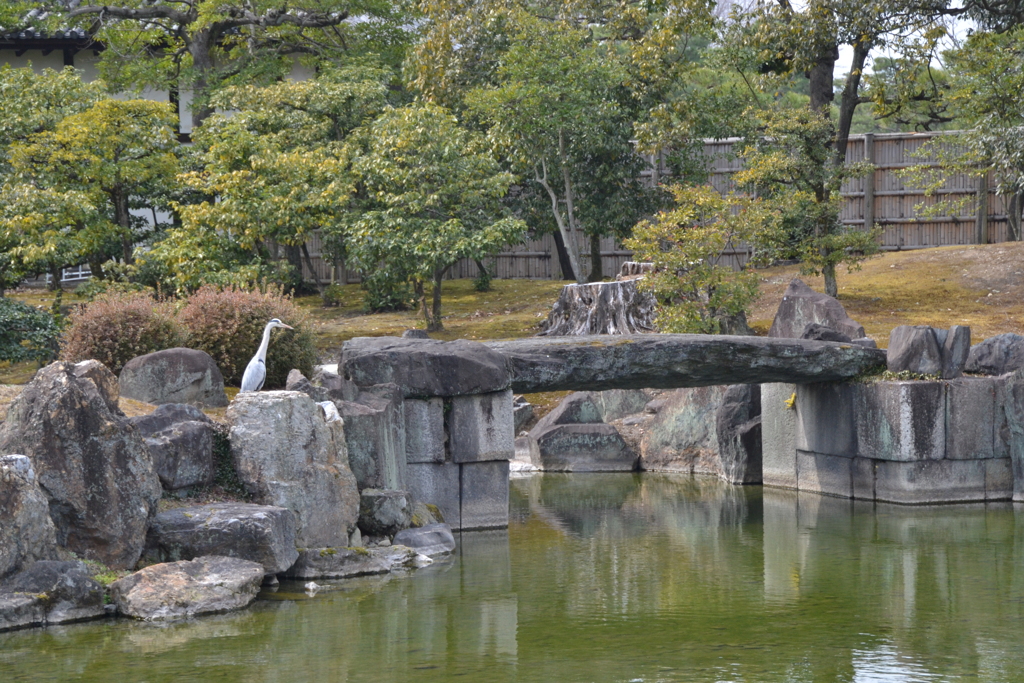 二条城の庭園