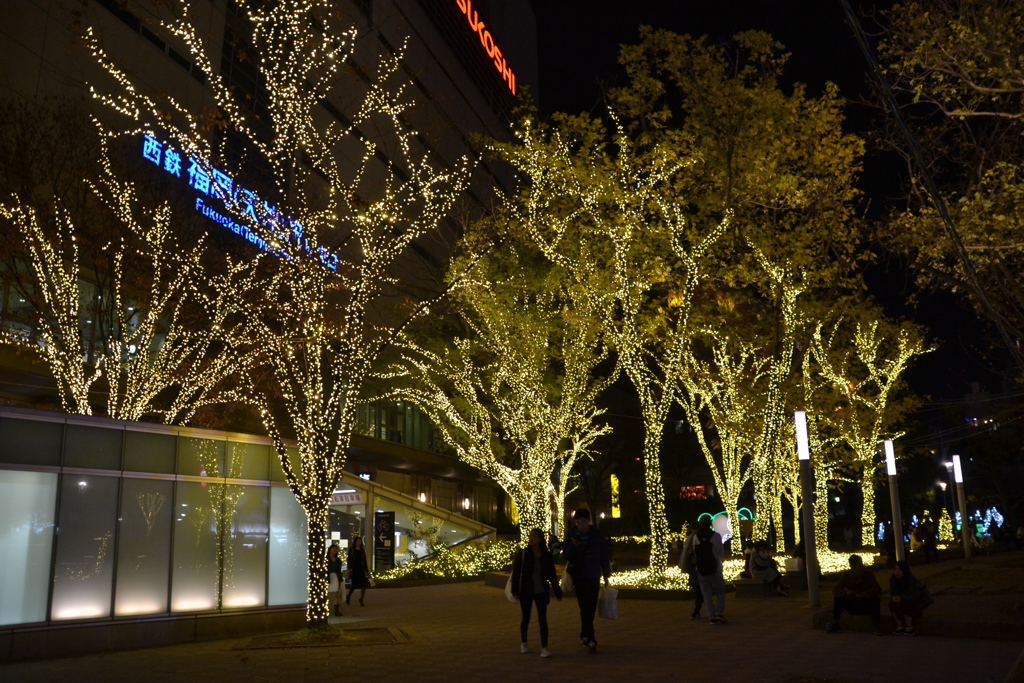 警固公園イルミネーション