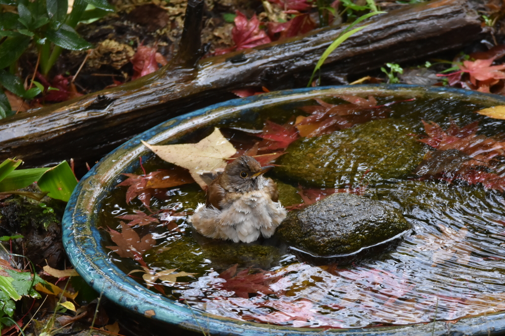 冷たくないの？