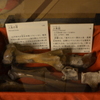 龍宮寺　人魚の骨