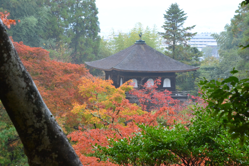 銀閣寺