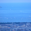 博多湾　ヨット