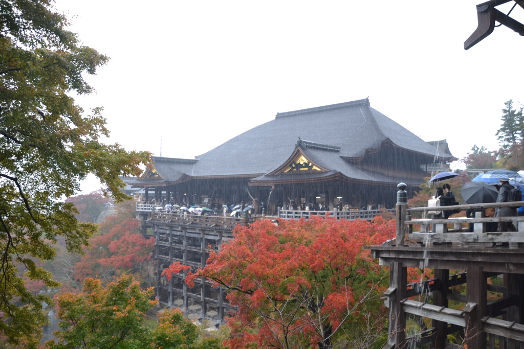 雨の清水寺
