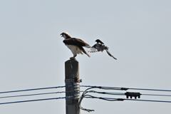 ビックリした！