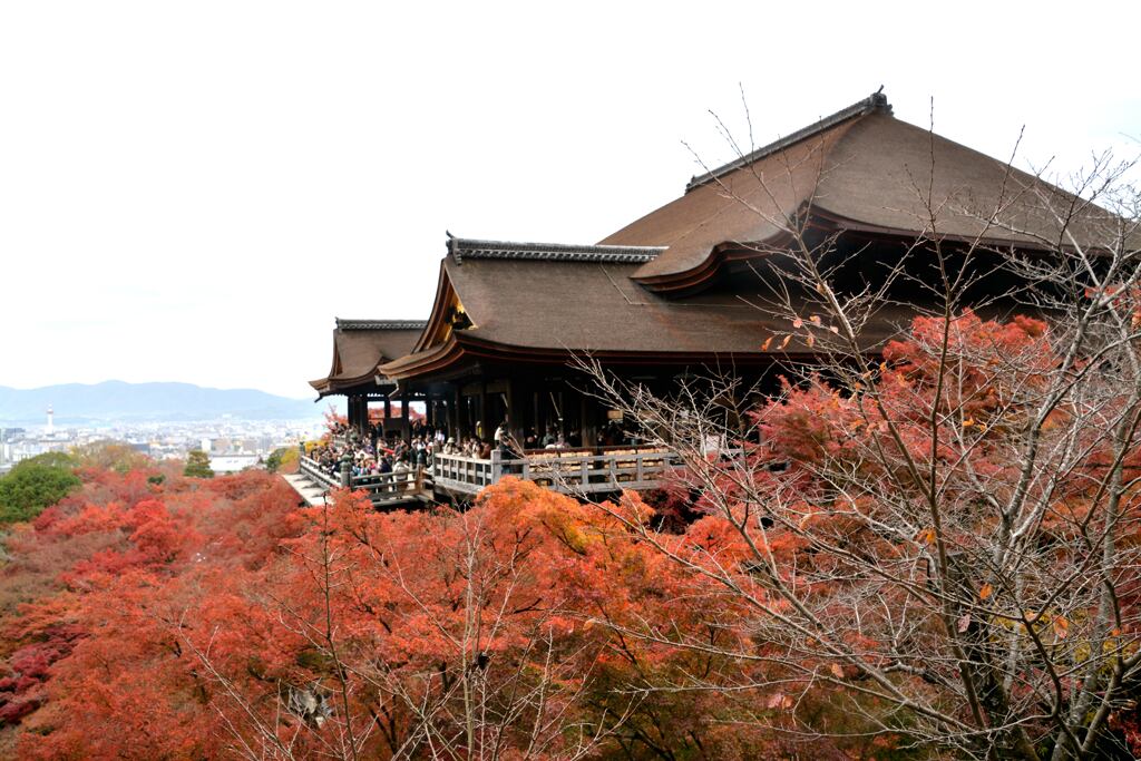 京都　清水寺
