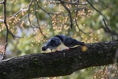 お熱いことで♡