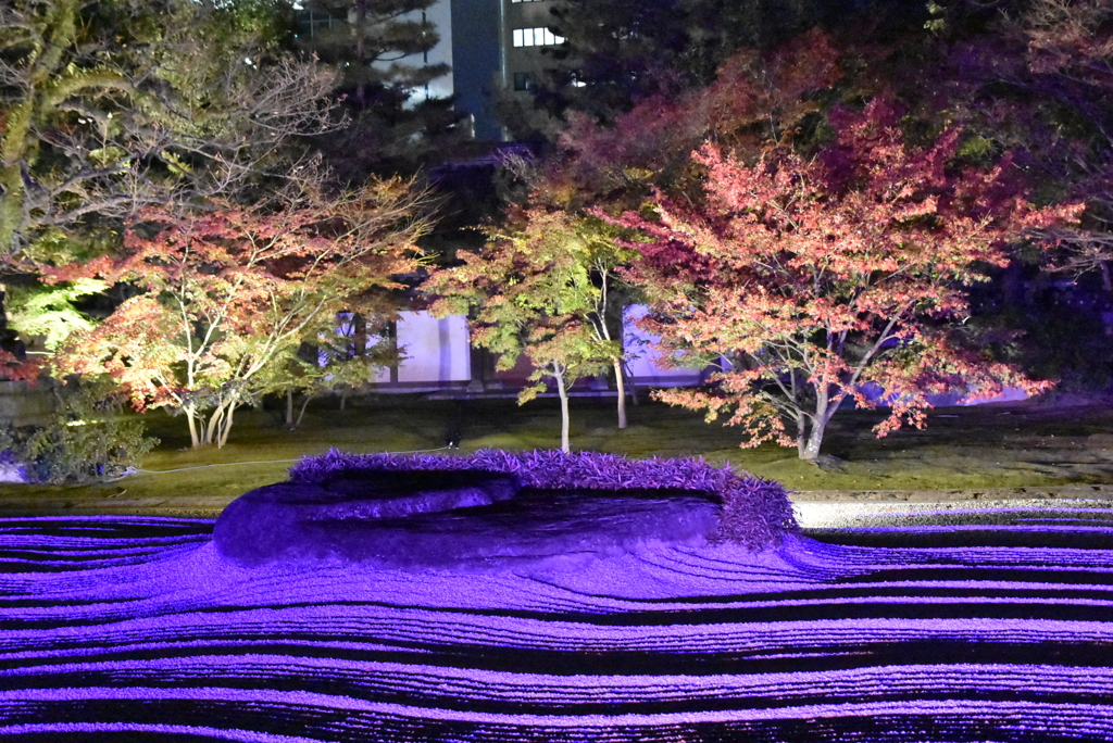 博多ライトアップウォーク2016　承天寺