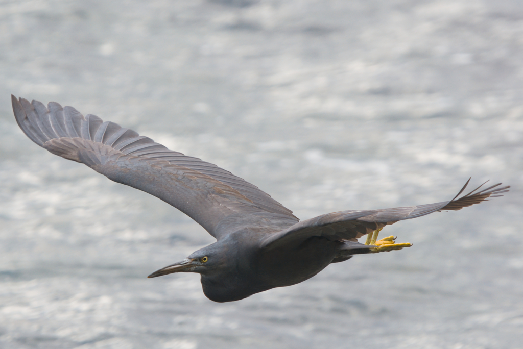 よいお年をお迎えください。