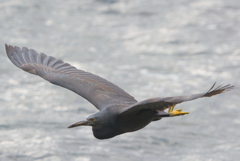 よいお年をお迎えください。