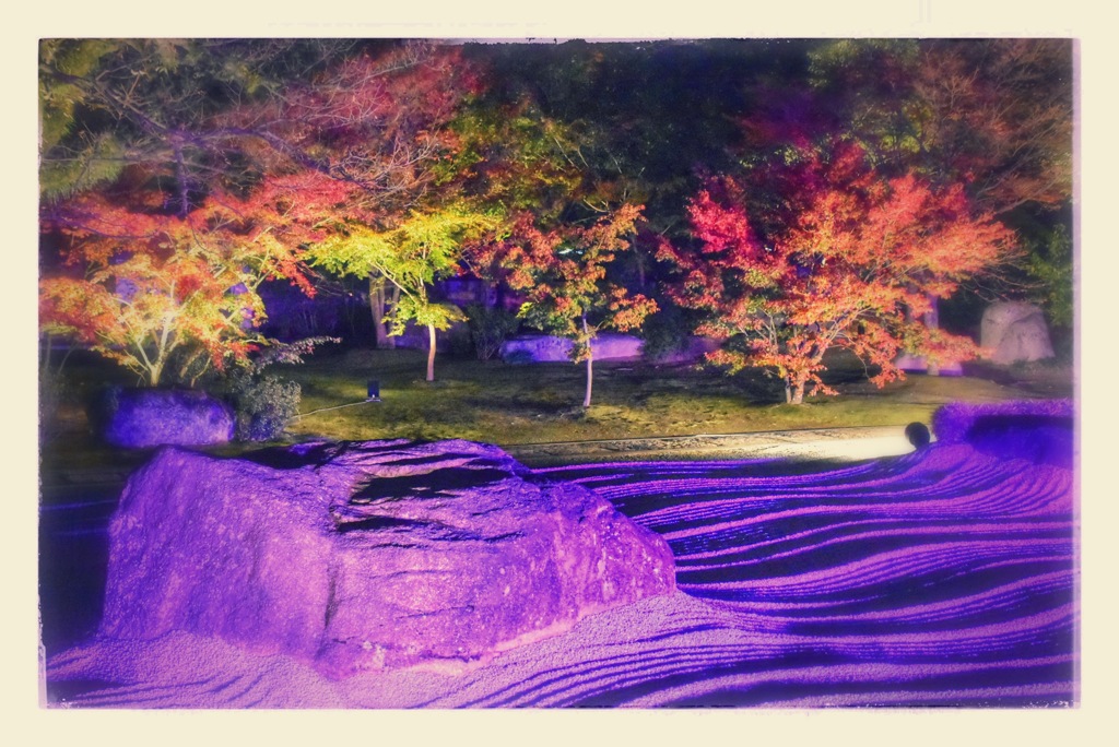 博多ライトアップウォーク2016　承天寺