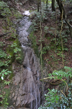 西油山林道沿いにある小さな滝