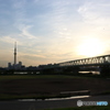 荒川 土手 風景