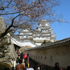 白鷺の