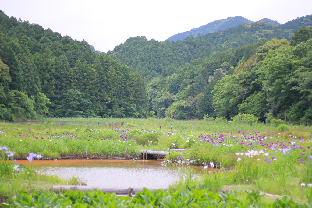 里山2