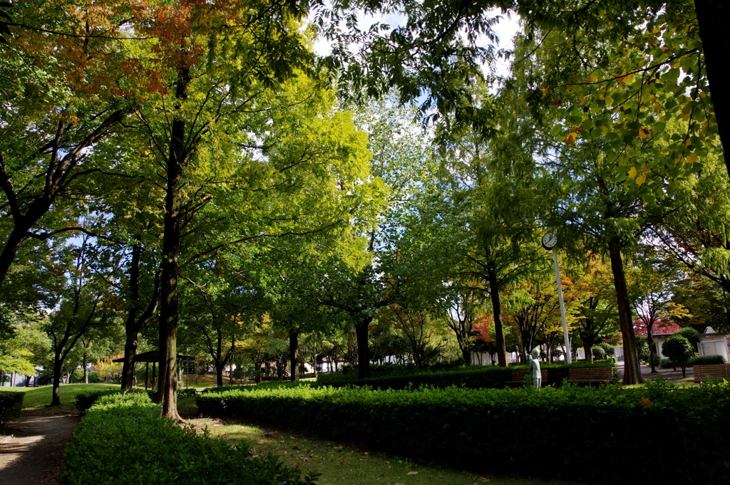 公園風景
