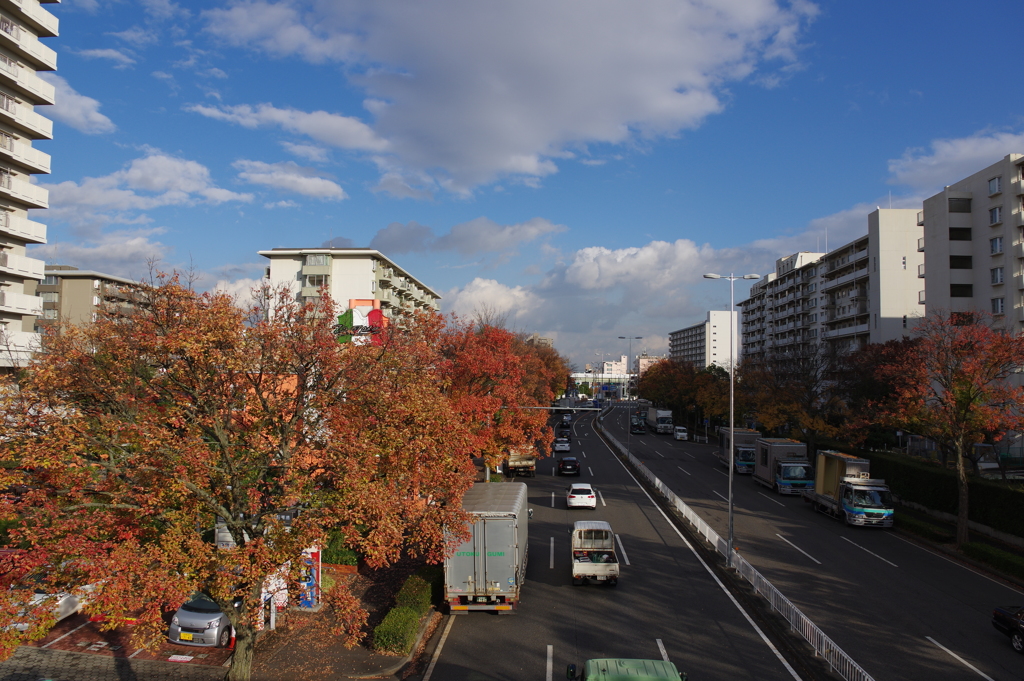 神宮東公園を散策