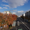 神宮東公園を散策
