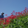 彼岸花の咲く土手を散歩する人　　津屋川の土手にて撮影。
