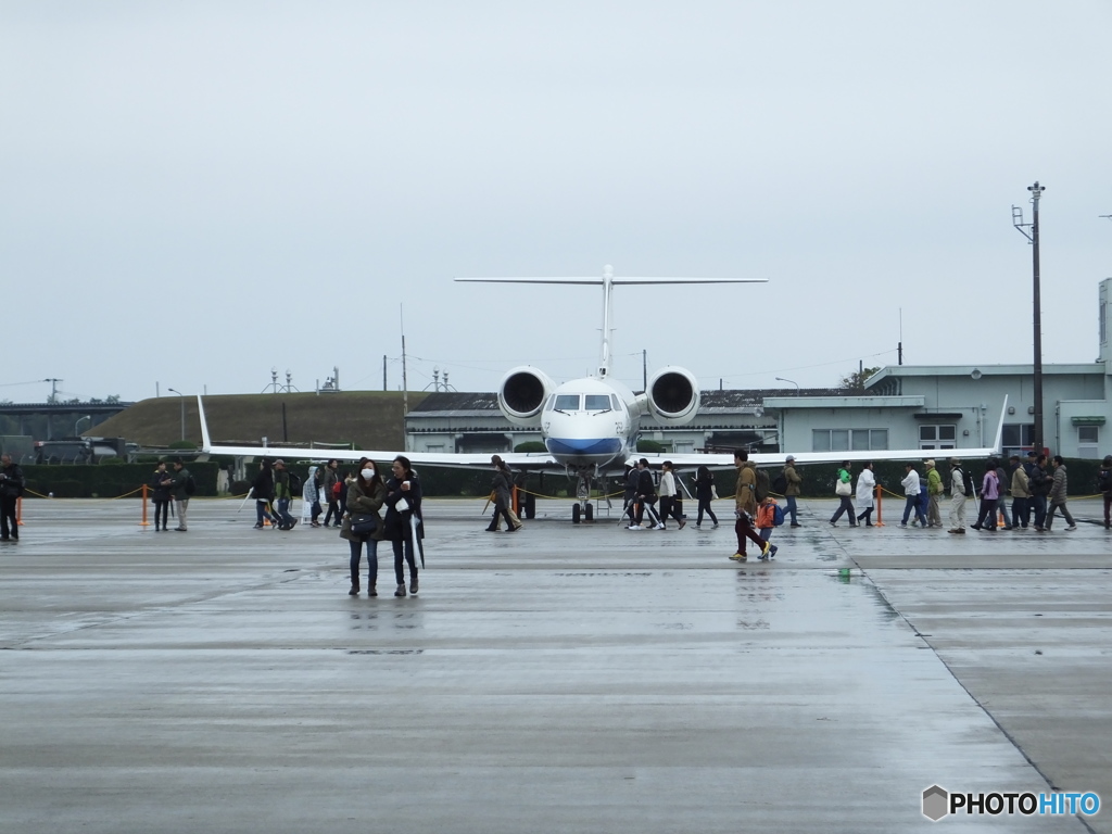 すごく幅広い翼！