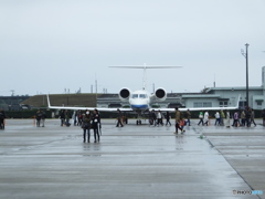 すごく幅広い翼！