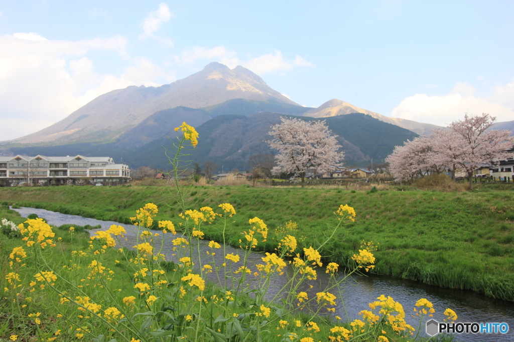 湯布院の春
