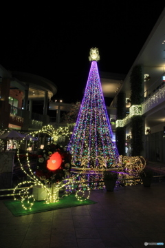 クリスマスツリー