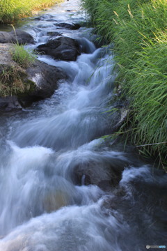 小さな小川