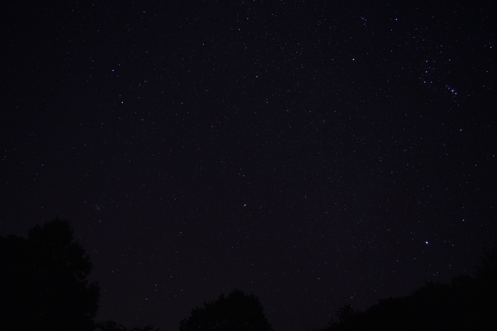 福岡県星野村の夜空