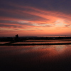 棚田からみる夕焼け５