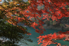 屏風のごとく