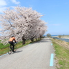 富山湾岸サイクリングコース４