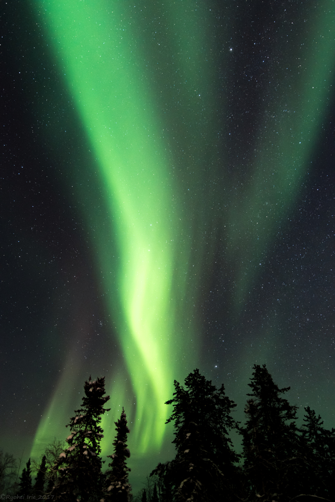 Aurora