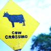 COW　CROSSING