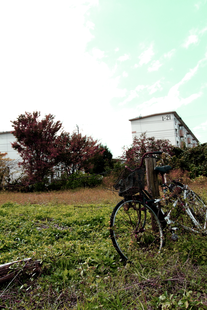朽ちた自転車