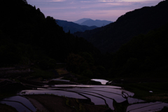 井仁の棚田